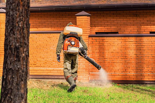 Trusted Bed Bug Control service in Winnemucca, NV - Nex Pest Control
